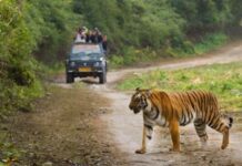 National Parks of India GK Questions