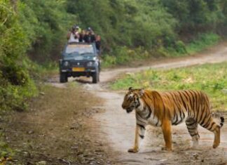 National Parks of India GK Questions