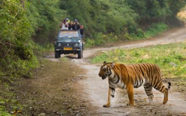 National Parks of India GK Questions