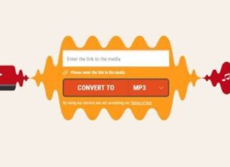 flvto converter