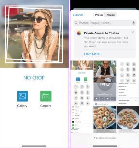 instagram reels downloader