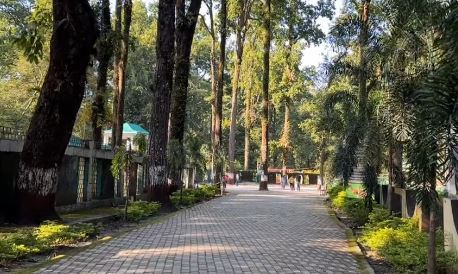 bengal safari siliguri travel places