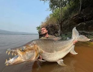most dangerous animals Goliath Tigerfish