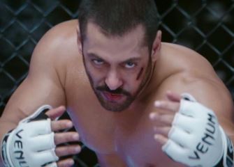 sabse jyada kamai wali film sultan