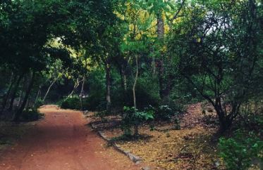 top 10 haunted places in india