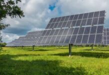 top solar panel companies in india