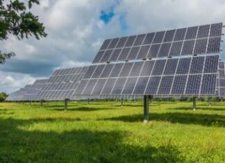 top solar panel companies in india