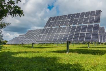 top solar panel companies in india