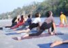 best ayurvedic companies in india