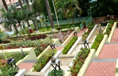best places to visit in saputara step garden