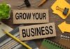 how to grow business