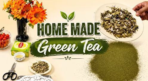 Best Green Tea Brands in India
